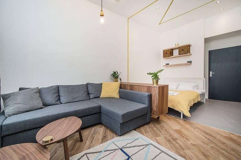 Designer By Beautiful Park & Church Praga